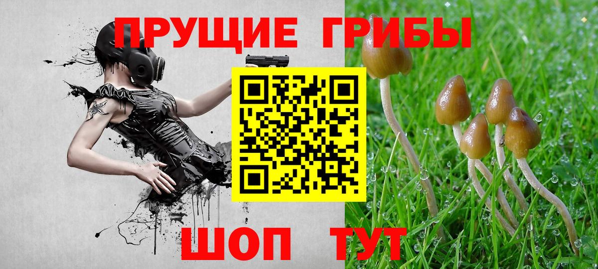 Псилоцибиновые грибы Magic Shrooms Северобайкальск